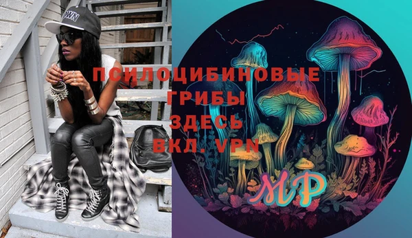 МДМА Медвежьегорск