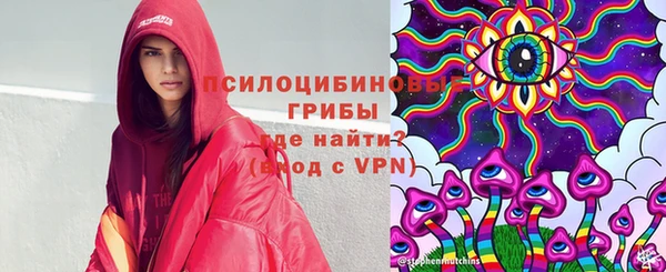 a pvp Мегион