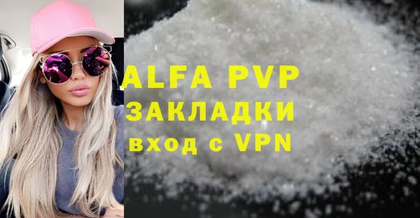 стаф Болотное