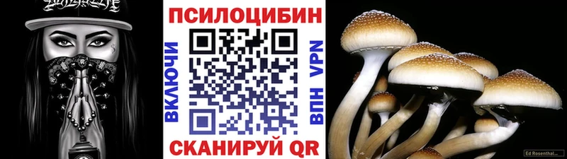 гидра ONION  Дегтярск  Галлюциногенные грибы Cubensis 